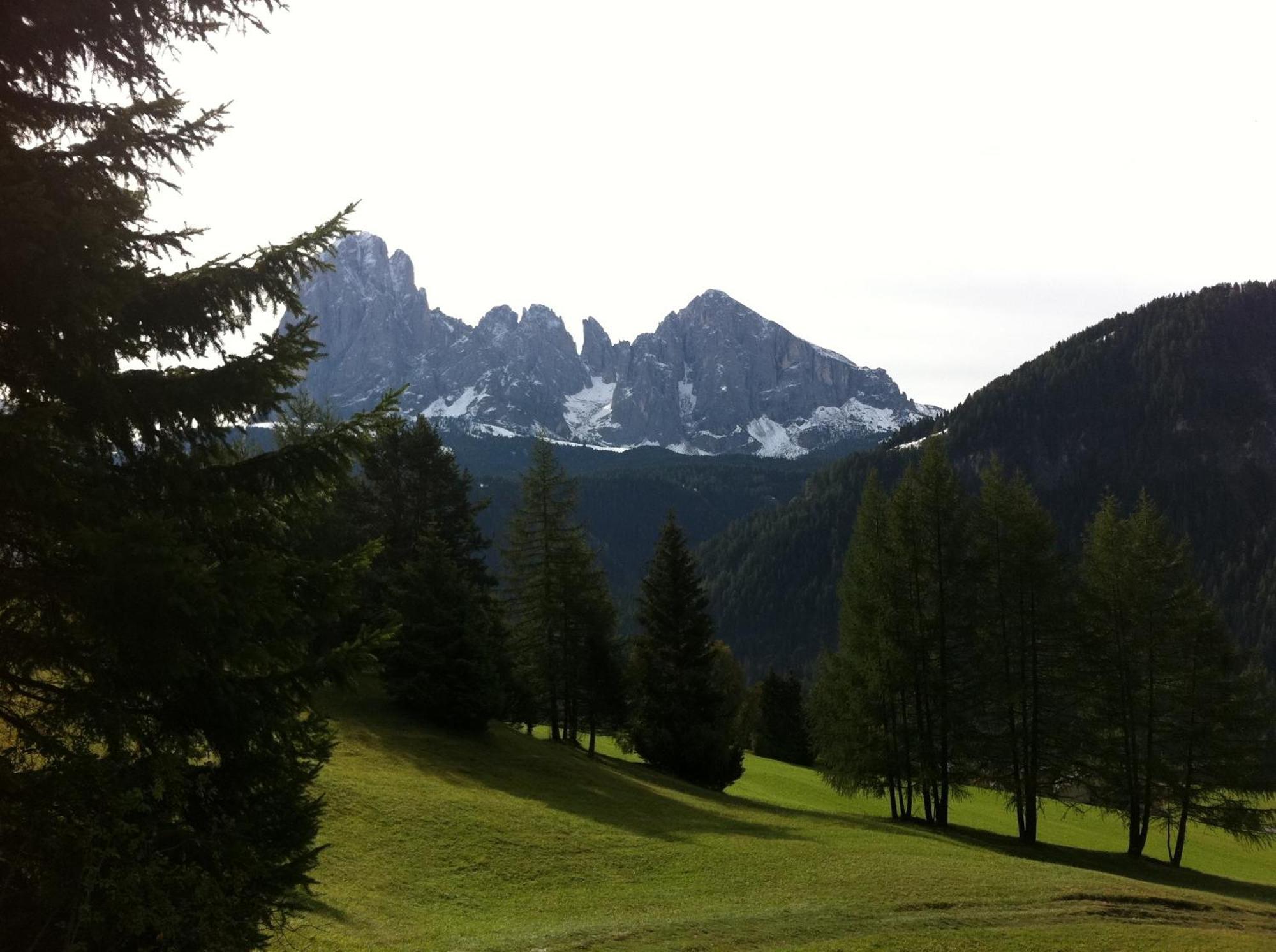 Garni La Bercia Hotel Selva di Val Gardena Luaran gambar