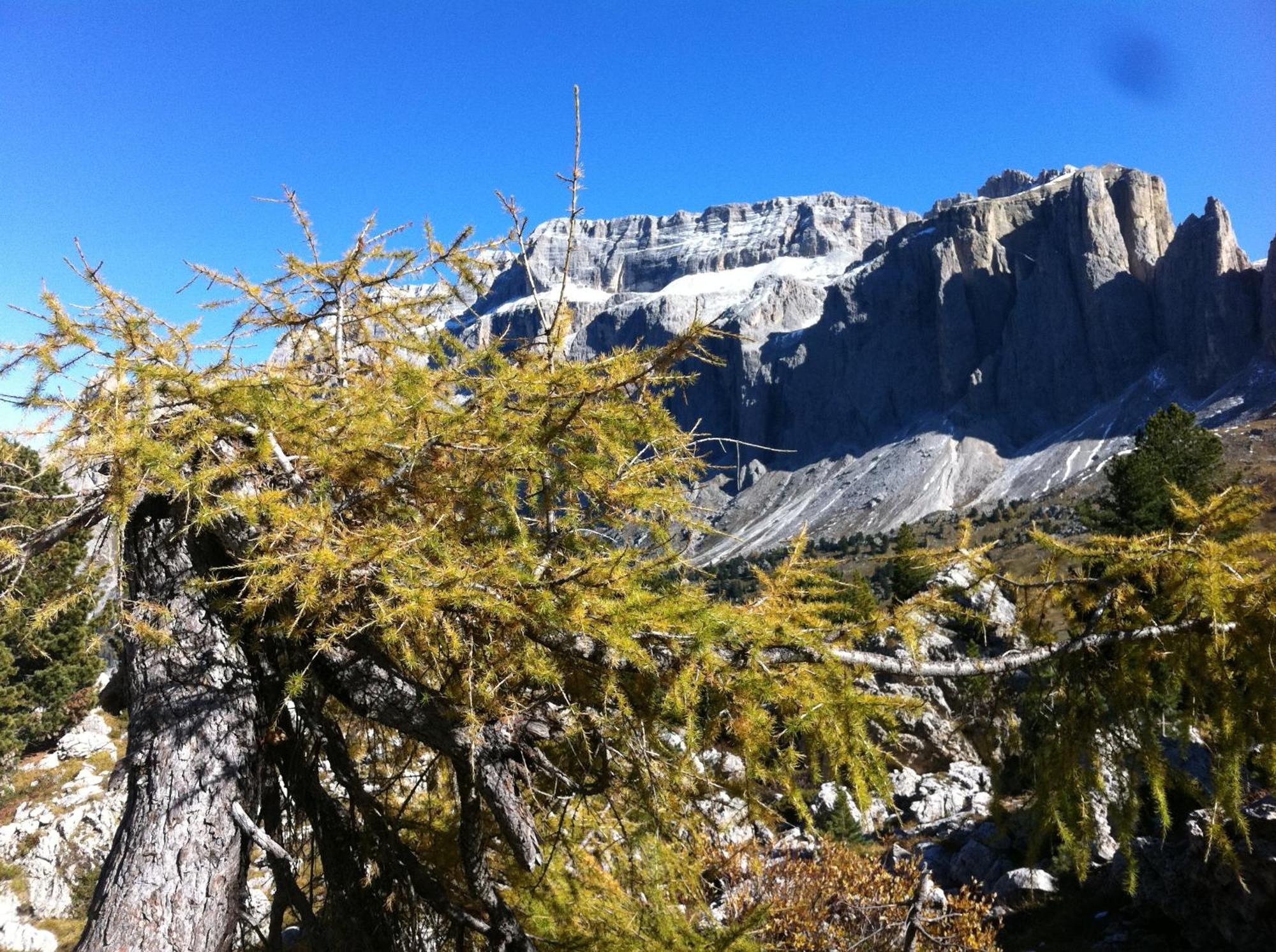 Garni La Bercia Hotel Selva di Val Gardena Luaran gambar